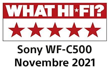 Sony WF-C500 - Ecouteur bluetooth sans fil - Jusqu'à 20h d'autonomie avec le boîtier de charge - Compatible assistants vocaux - Micro intégré appels mains libres - Connexion Bluetooth stable - Blanc - LUXING SPORT